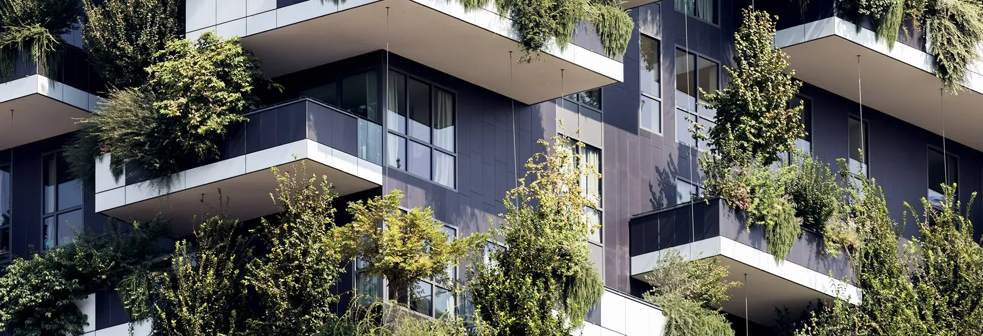 Logement Collectif